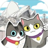 猫友圈：猫咪的旅行