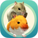 我的仓鼠正版APP版-我的仓鼠安卓免费版下载v9.7