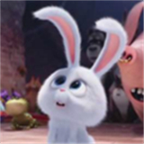 兔子影院最新版中文-兔子影院免费完整版下载v4.3