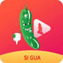丝瓜草莓小猪向日葵iOS软件下载-丝瓜草莓小猪向日葵iOS V.021