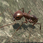 蚂蚁模拟3D正版APP版-蚂蚁模拟3D手机最新版下载v3.3