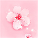 樱花草视频在线观看免费高清下载app-樱花草视频在线观看免费高清 V2.3.3
