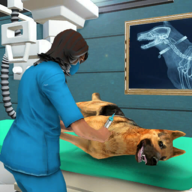 宠物医院模拟器免费手机版-宠物医院模拟器免费完整版下载v2.11
