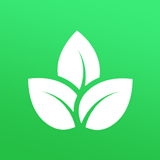 种植物语最新版中文-种植物语手机最新版下载v8.15
