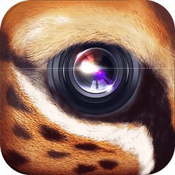 野兽相机手机版下载-野兽相机v1.2安卓版下载