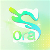 Sora视界app安卓版下载-Sora视界v1.1手机版下载