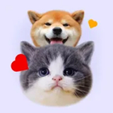 猫狗语宠物翻译器最新安卓版-猫狗语宠物翻译器安卓手机版下载v6.7