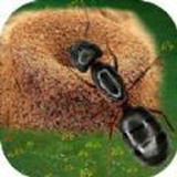 蚂蚁地下王国正式版下载-蚂蚁地下王国v1.0.2手机版下载