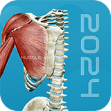 3D肌肉解剖软件免费下载-3D肌肉解剖v1.0手机版下载